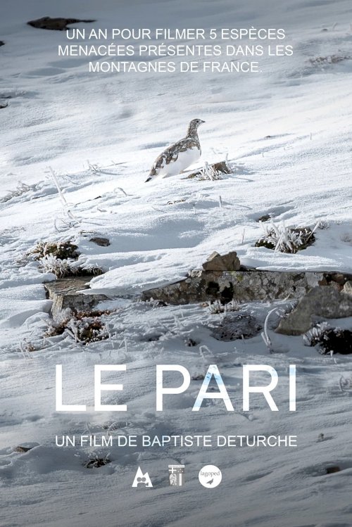 Le pari Le pari