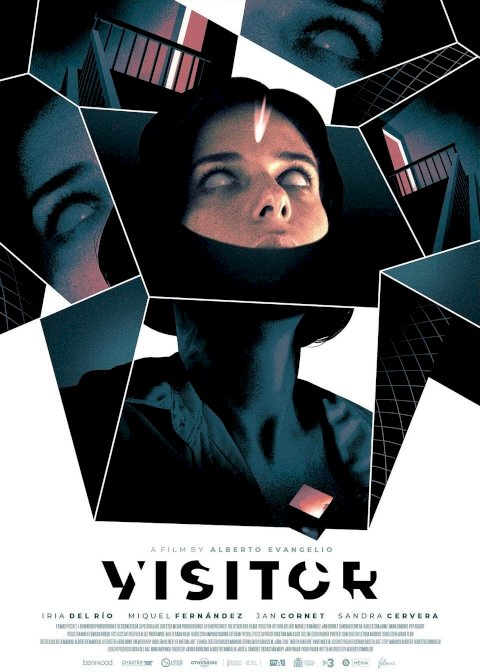 Visitor Visitor