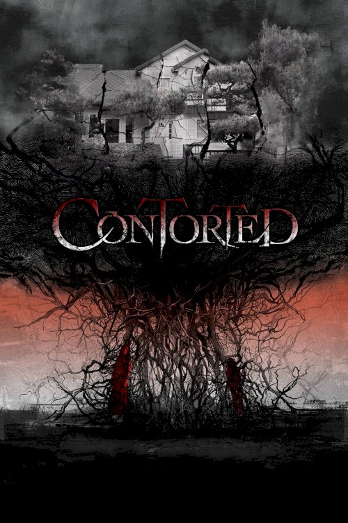 Contorted Contorted