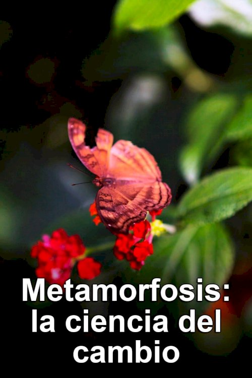 Metamorphosis: The Science of Change Metamorphosis: The Science of Change