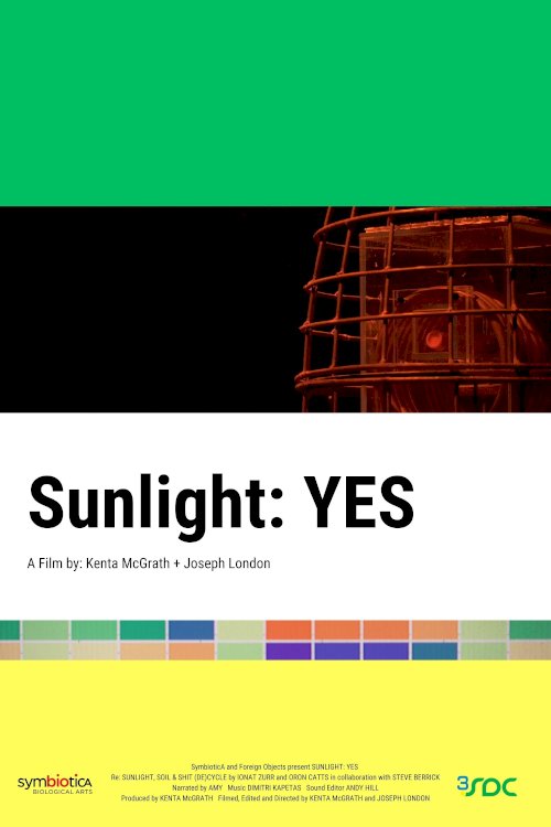 Sunlight: YES Sunlight: YES