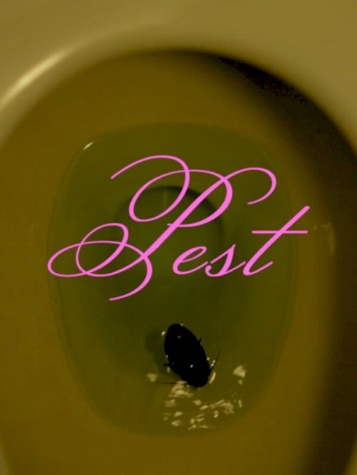 Pest Pest