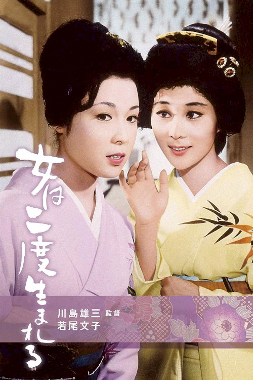A Geisha's Diary A Geisha's Diary