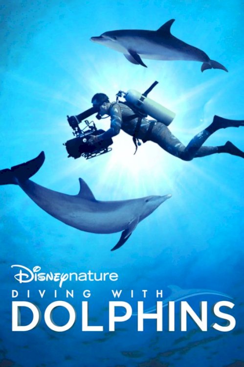 Diving with Dolphins Diving with Dolphins