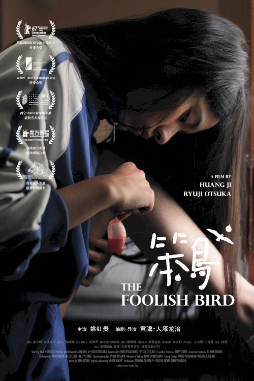 The Foolish Bird The Foolish Bird