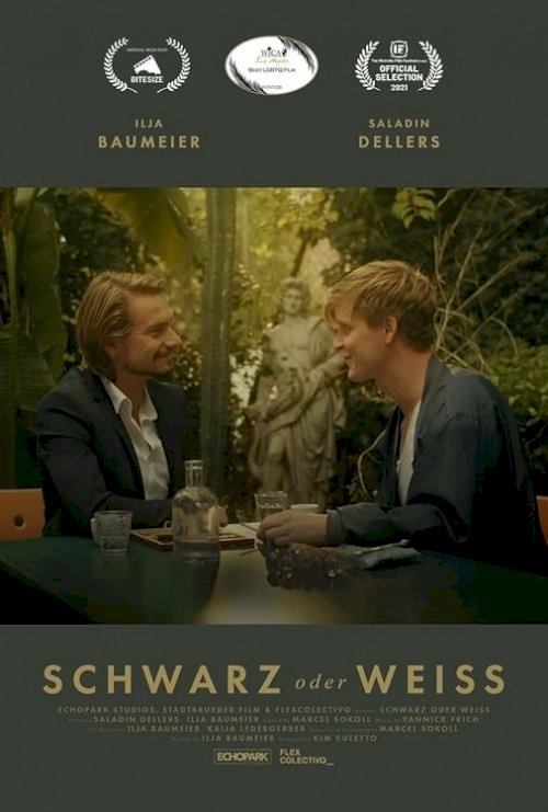 Schwarz oder Weiss Schwarz oder Weiss
