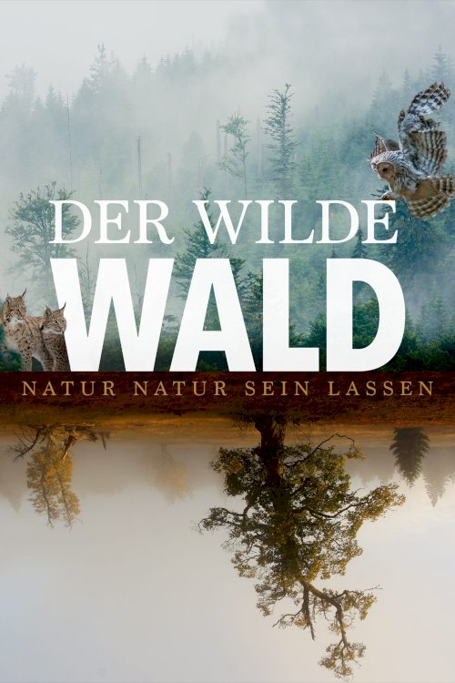 The Wild Forest The Wild Forest