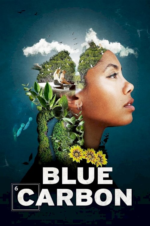 Blue Carbon Blue Carbon