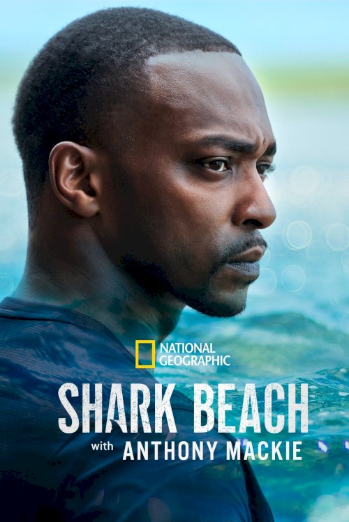 Shark Beach with Anthony Mackie Shark Beach with Anthony Mackie