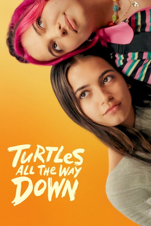 Turtles All the Way Down Turtles All the Way Down
