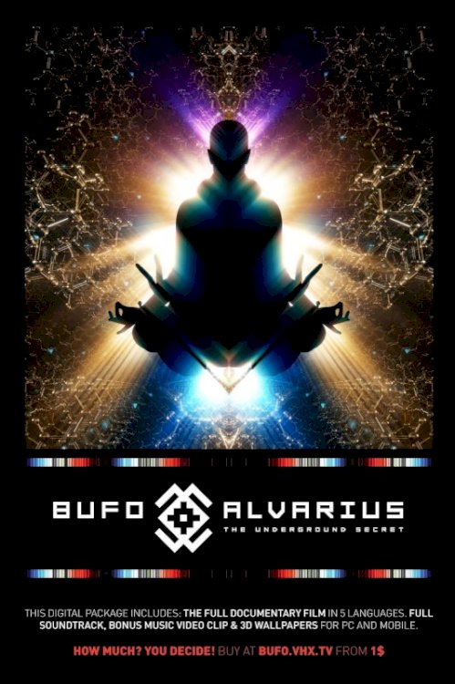 Bufo Alvarius – The Underground Secret Bufo Alvarius – The Underground Secret
