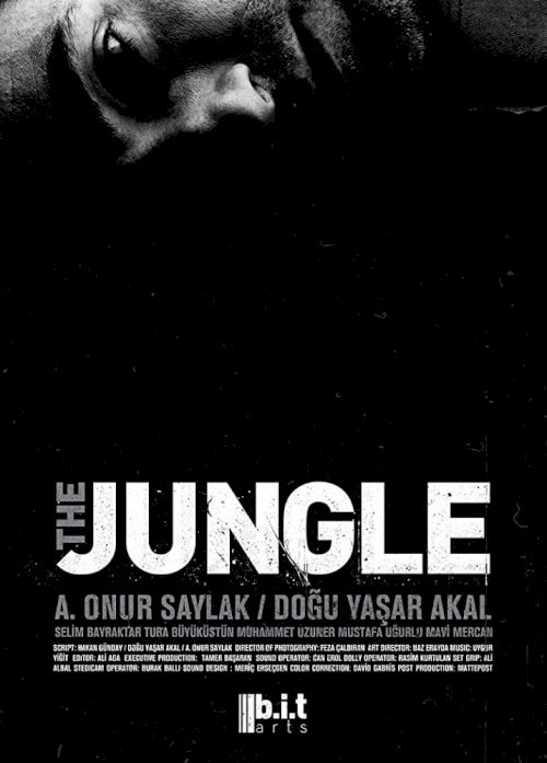 The Jungle The Jungle