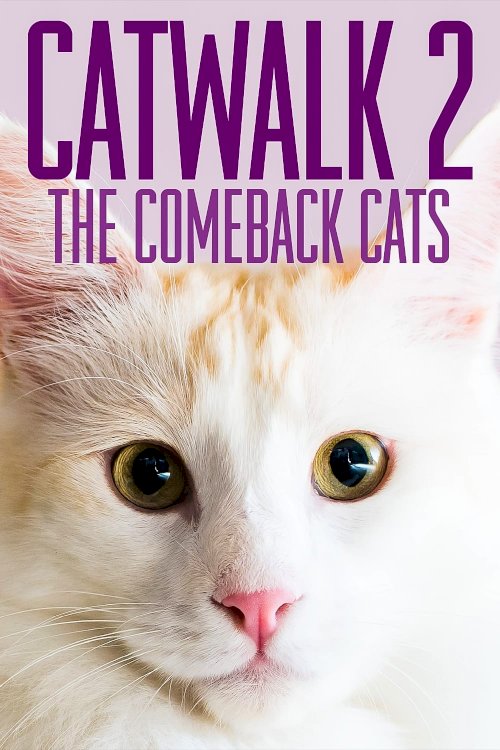 Catwalk 2: The Comeback Cats Catwalk 2: The Comeback Cats