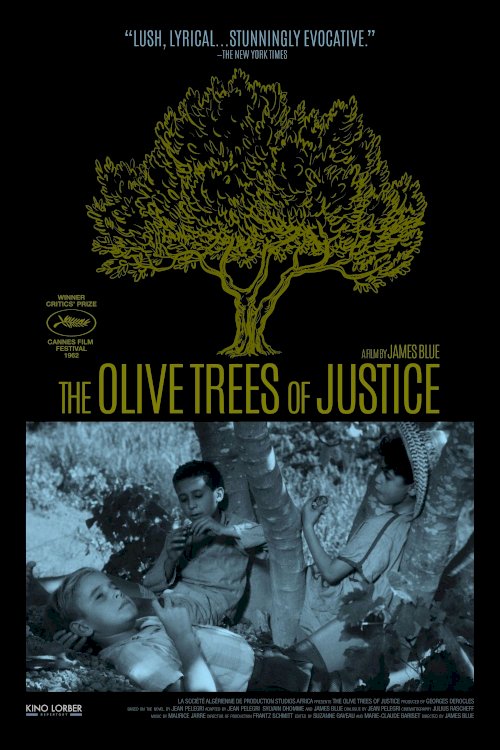 The Olive Trees of Justice The Olive Trees of Justice