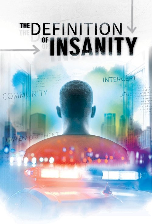 The Definition of Insanity The Definition of Insanity