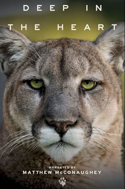 Deep in the Heart: A Texas Wildlife Story Deep in the Heart: A Texas Wildlife Story
