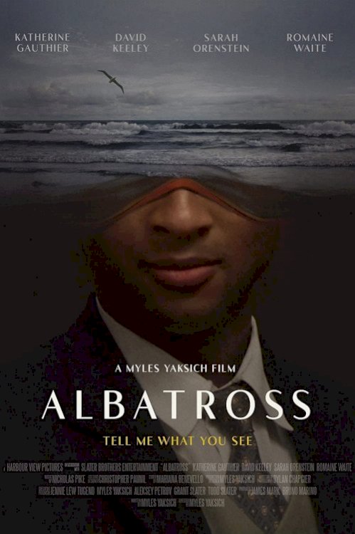 Albatross Albatross