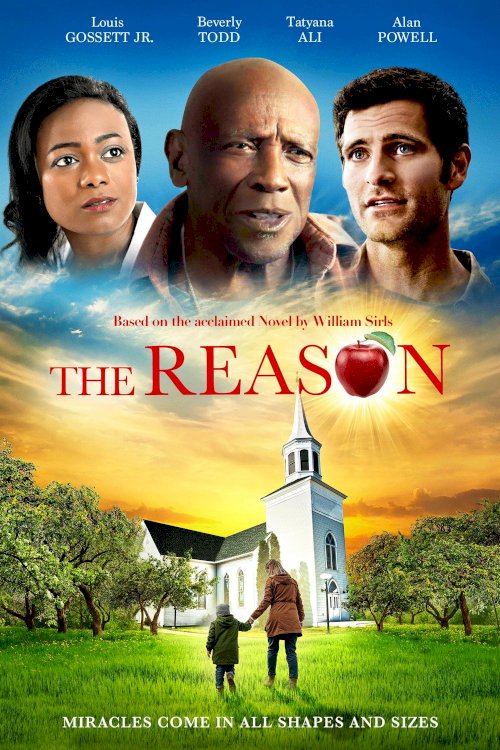The Reason The Reason