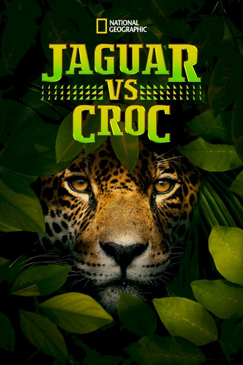 Jaguar vs. Croc Jaguar vs. Croc