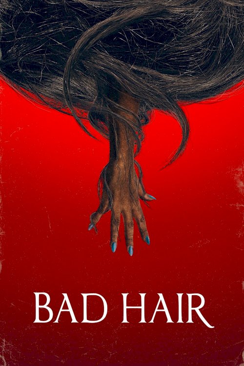 Bad Hair Bad Hair