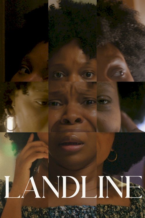 Landline Landline