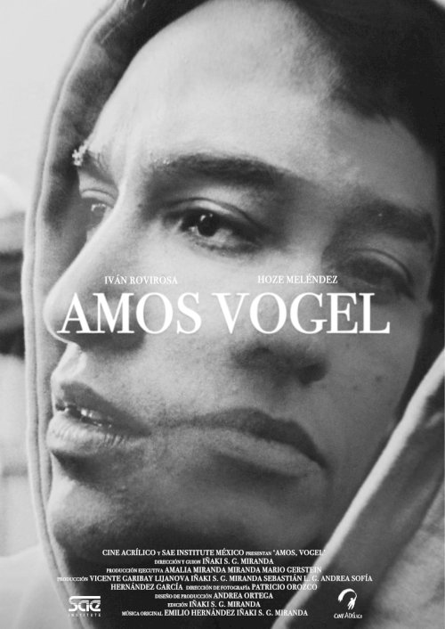 Amos, Vogel Amos, Vogel