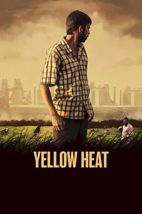 Yellow Heat Yellow Heat