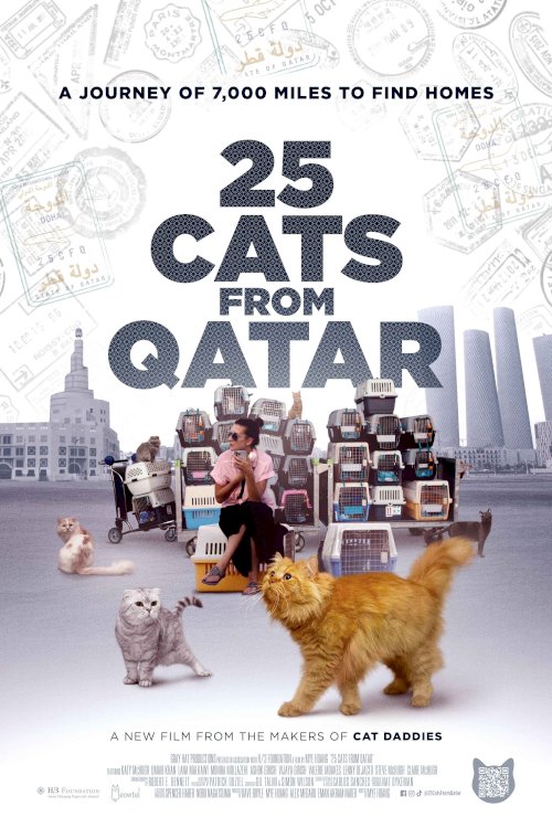 25 Cats From Qatar 25 Cats From Qatar