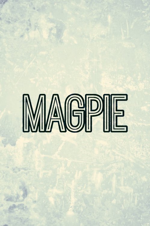 Magpie Magpie