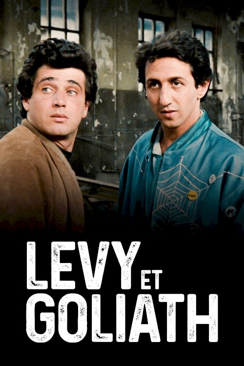 Levy & Goliath Levy & Goliath