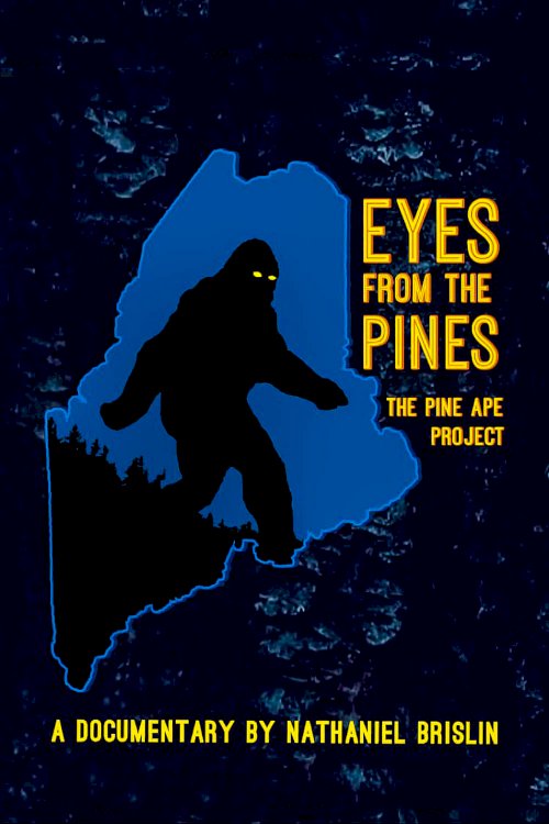 Eyes from the Pines Eyes from the Pines
