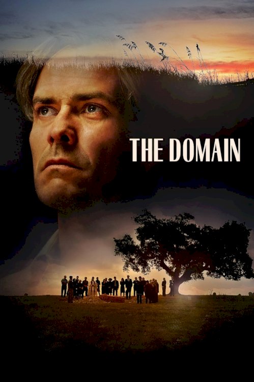 The Domain The Domain