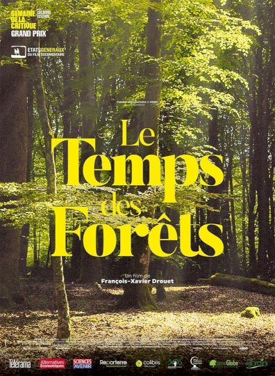 The Time of Forests The Time of Forests