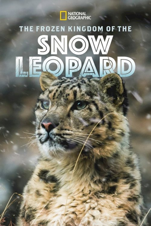 The Frozen Kingdom of the Snow Leopard The Frozen Kingdom of the Snow Leopard