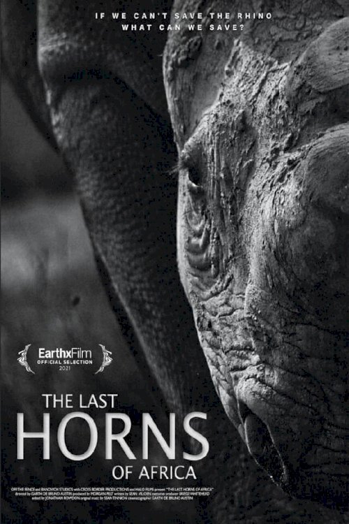 The Last Horns Of Africa The Last Horns Of Africa