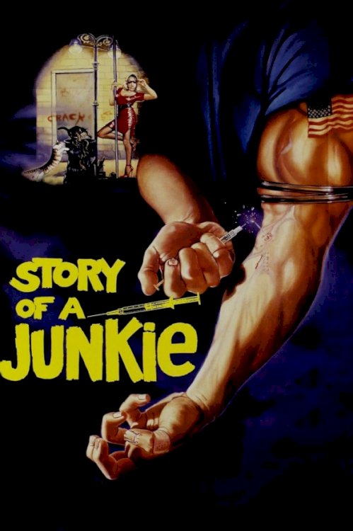 Story of a Junkie Story of a Junkie