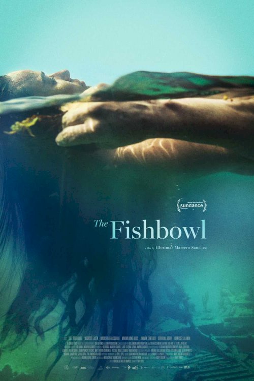 The Fishbowl The Fishbowl