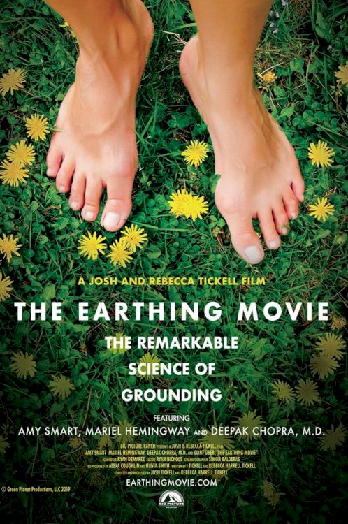 The Earthing Movie