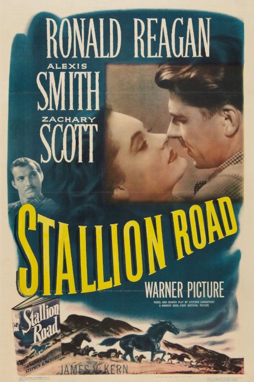 Stallion Road Stallion Road