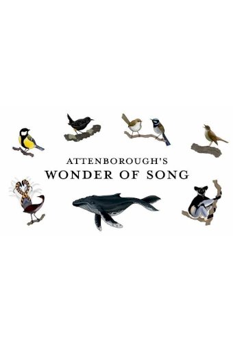 Attenborough's Wonder of Song Attenborough's Wonder of Song