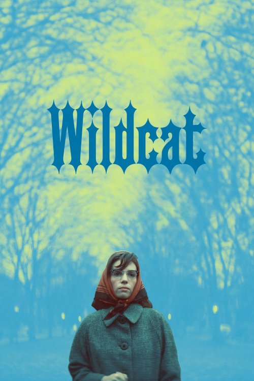 Wildcat Wildcat