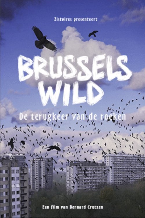 Bruxelles Sauvage - Le retour des corbeaux Bruxelles Sauvage - Le retour des corbeaux