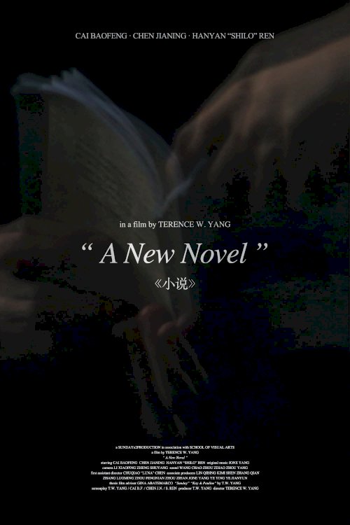 A New Novel A New Novel