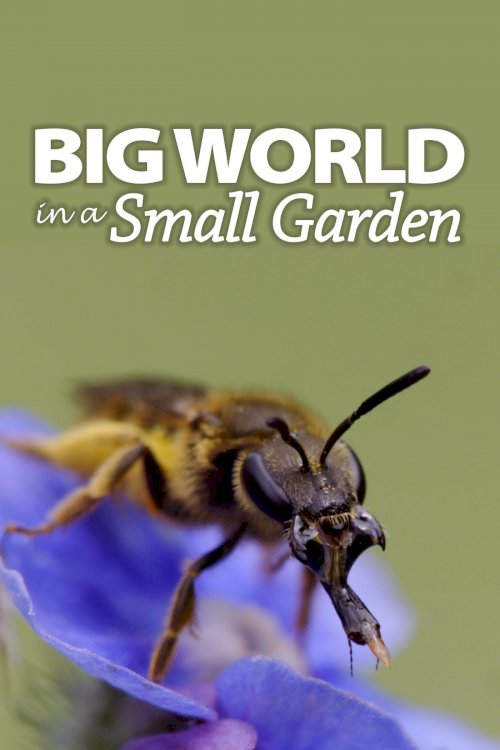 Big World In A Small Garden Big World In A Small Garden