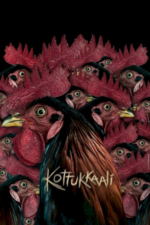 Kottukkaali