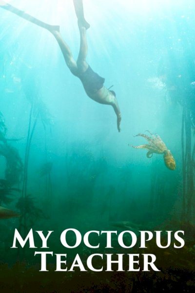 My Octopus Teacher My Octopus Teacher