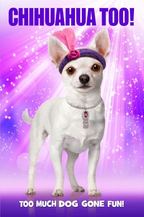 Chihuahua Too! Chihuahua Too!