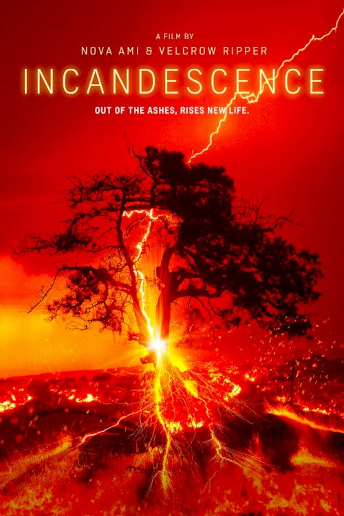 Incandescence Incandescence