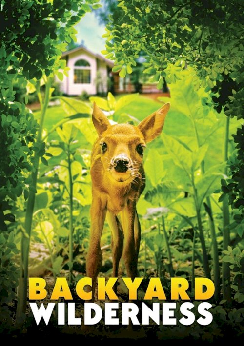 Backyard Wilderness Backyard Wilderness