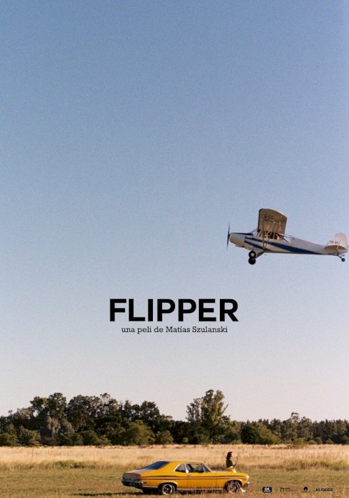 Flipper Flipper